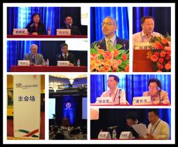 2013年北大糖尿病论坛