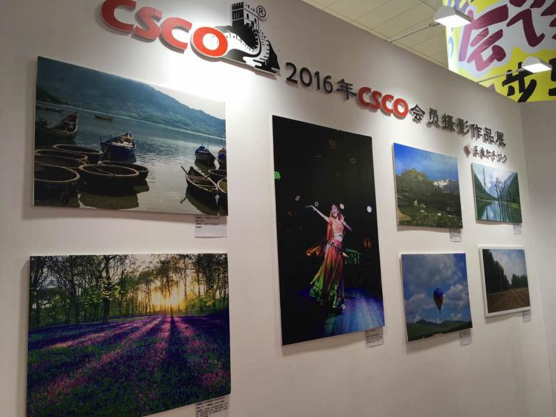 第十九届全国临床肿瘤学大会暨2016年CSCO学术年会