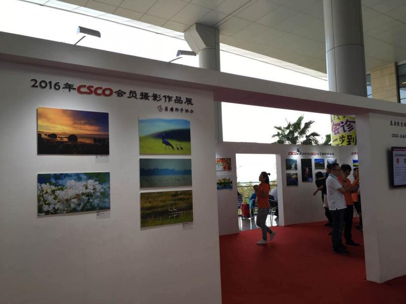 第十九届全国临床肿瘤学大会暨2016年CSCO学术年会