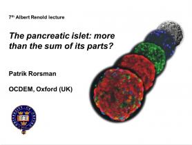 2013第49届欧洲糖尿病研究协会(EASD)年会