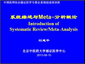 2013年循证医学与实效研究方法学研讨会